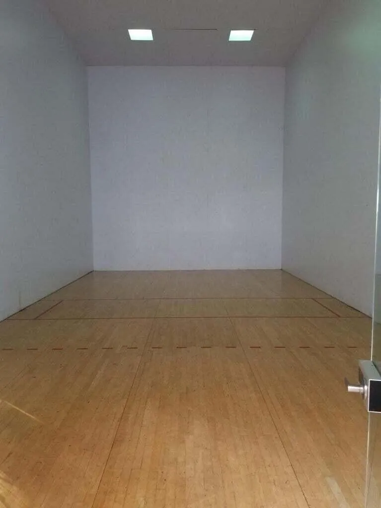 Racquet ball