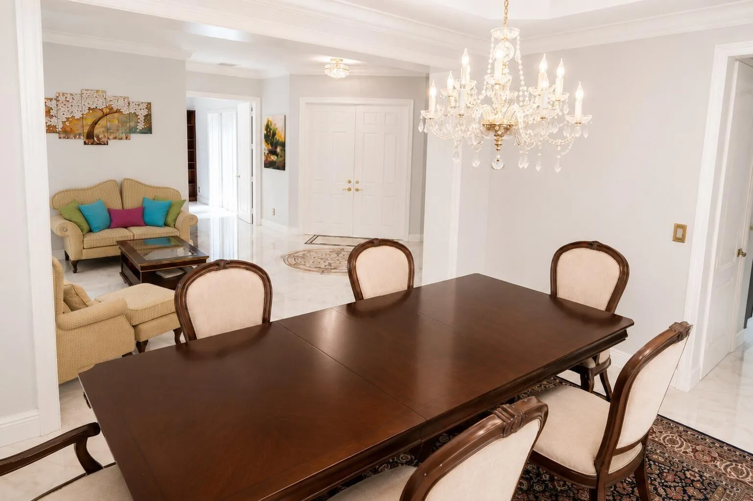WhatsApp Image 2026-07-31 at 13.14.49