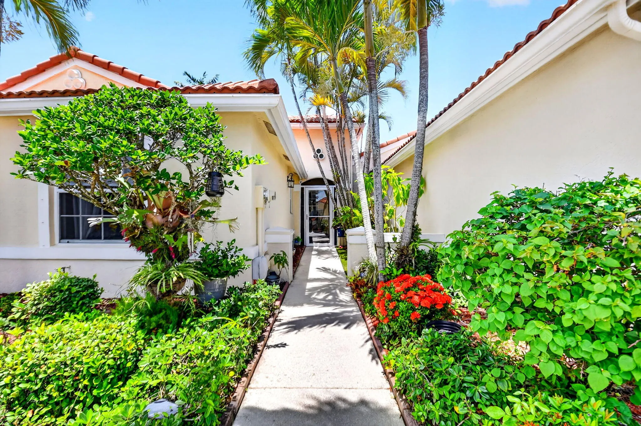 Entryway featuring a walkway bordered by lush landscaping and mature palm trees