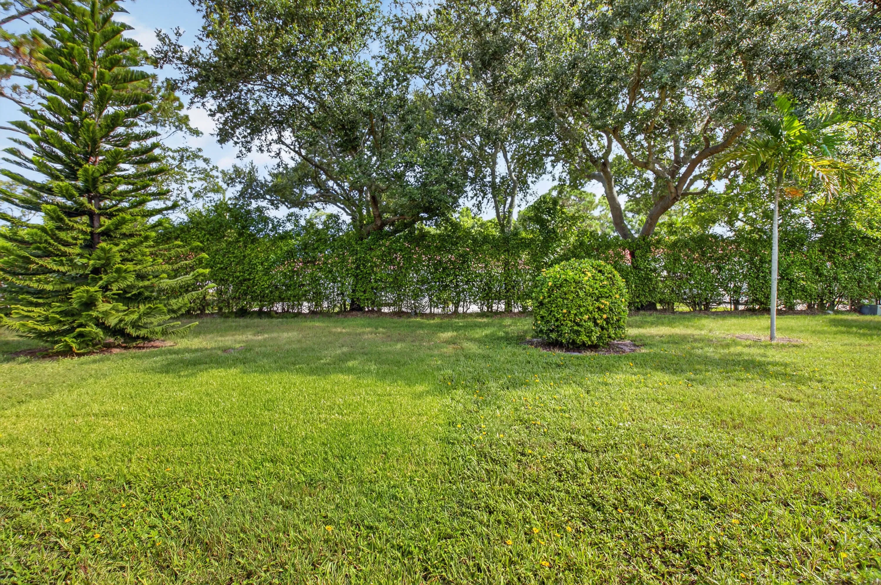 lakefrontyard