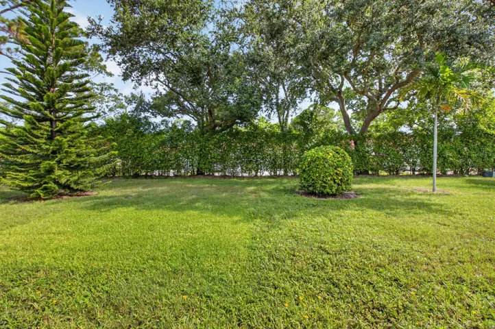 lakefrontyard