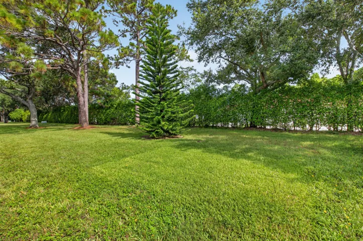 lakefrontyard2
