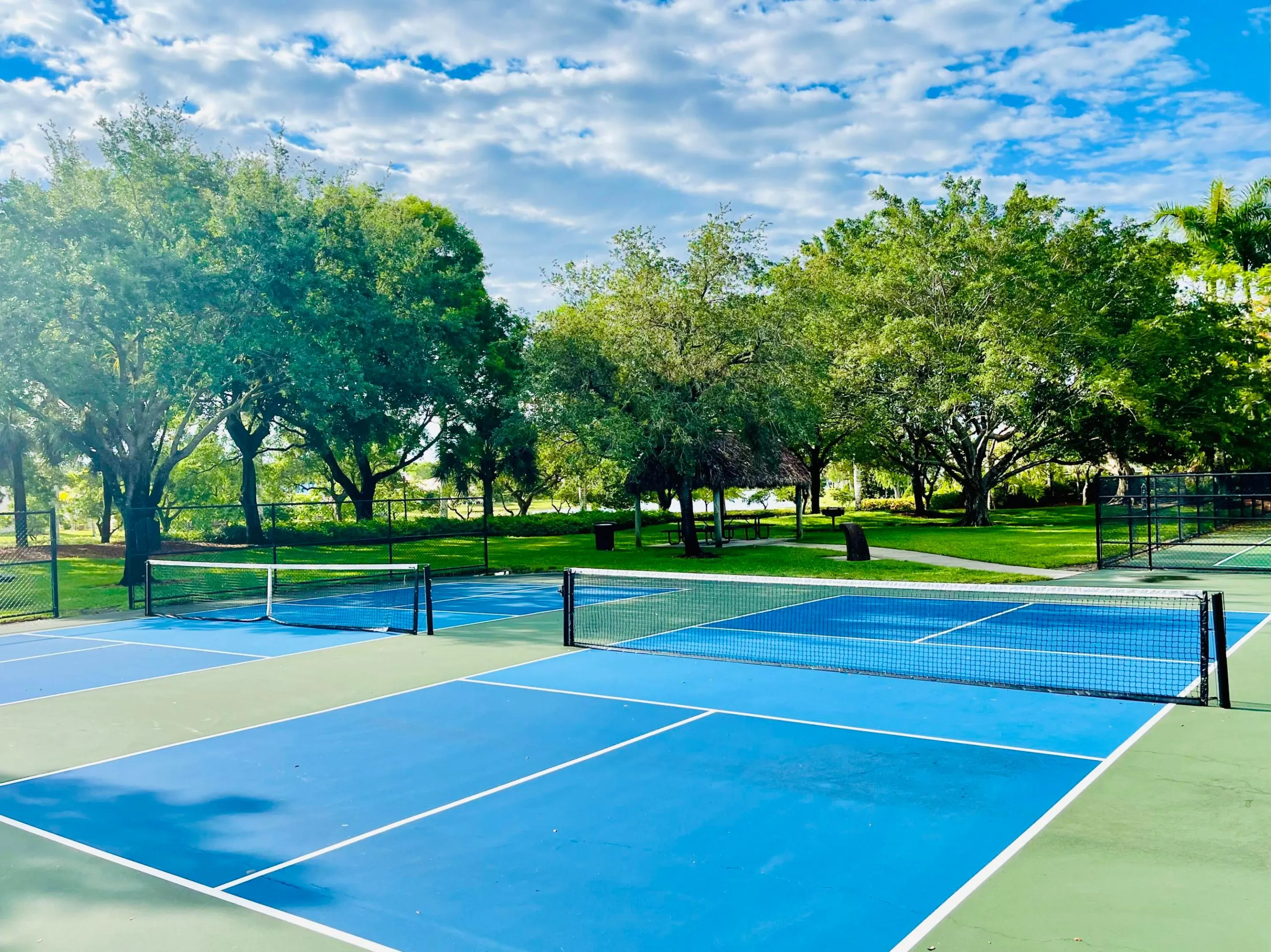 pickleballcourt2