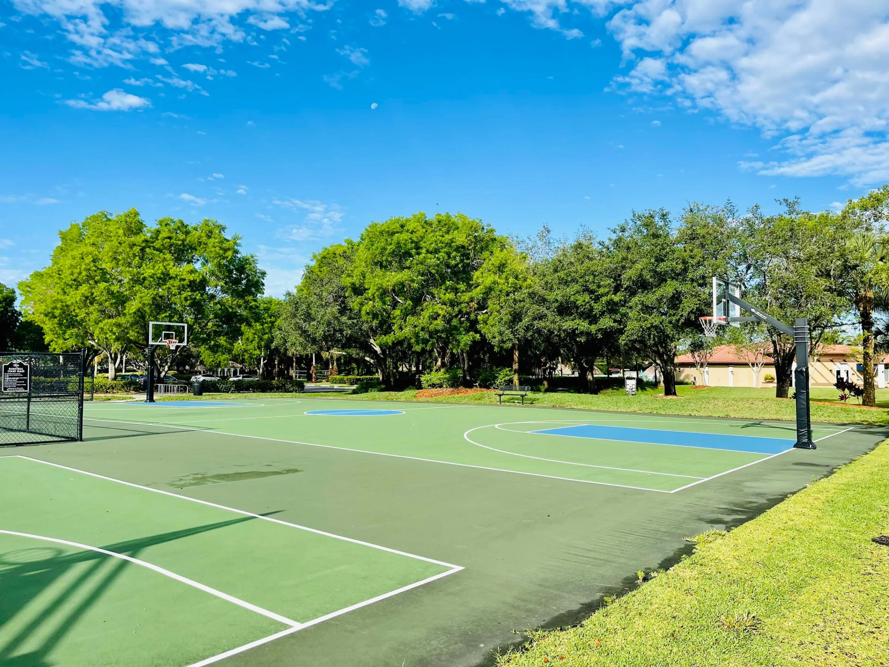 basketball2