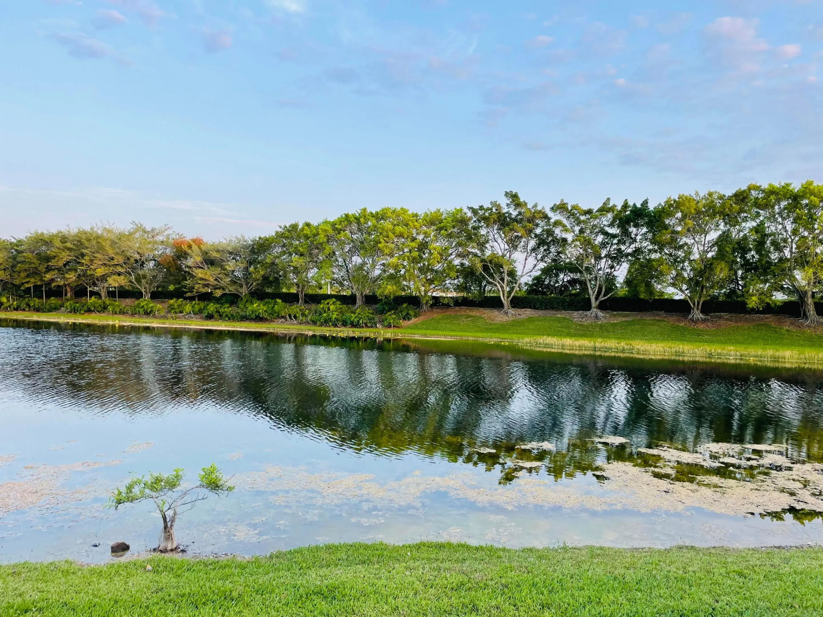 lakeview2