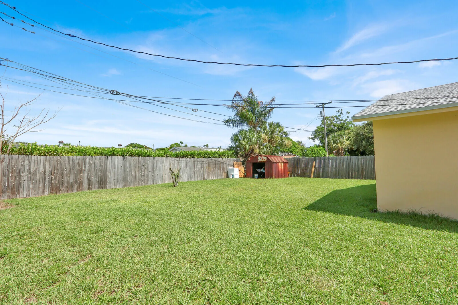 Backyard