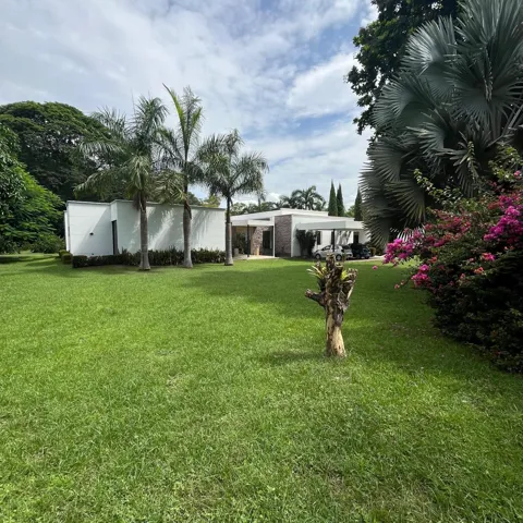 Expansive green lawn bordering a single-story residence with a flat roofline