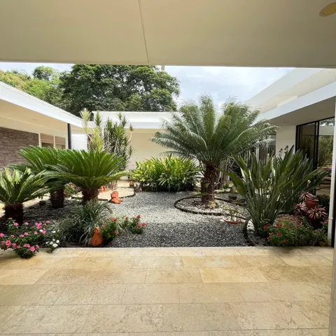 Central courtyard garden featuring a variety of mature tropical plantings