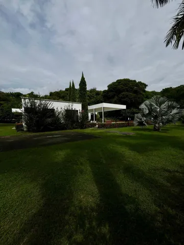 Orange, tangerine, lemon, soursop, and mango fruit trees, which bring freshness and a connection to the earth.