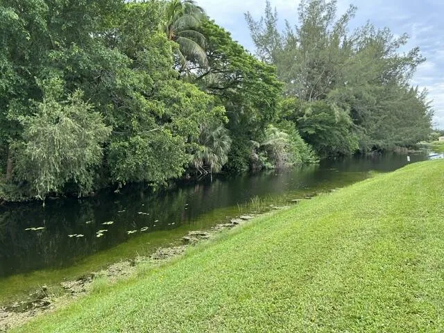 Back yard view