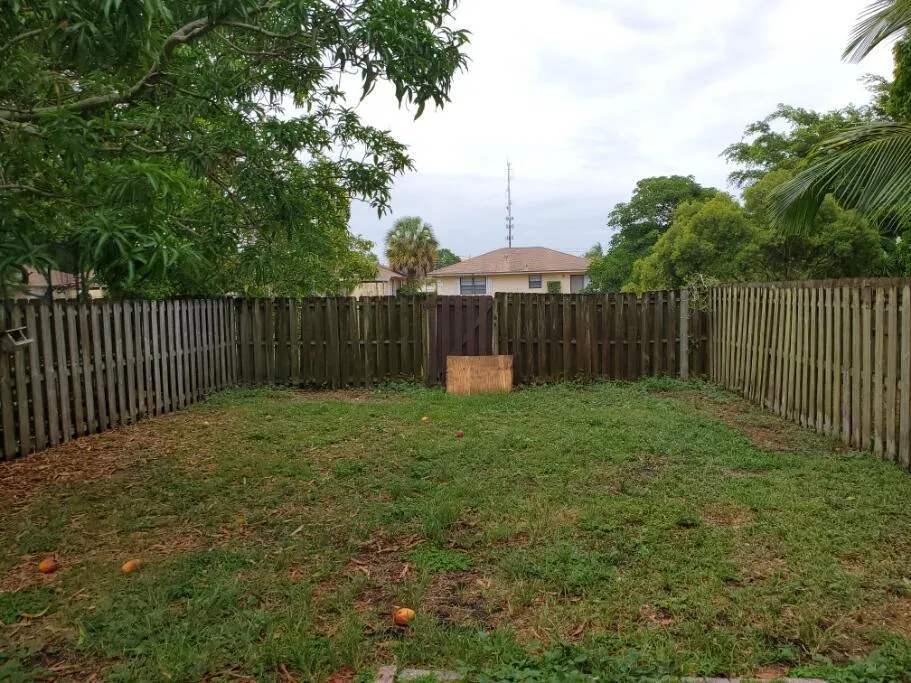 backyard