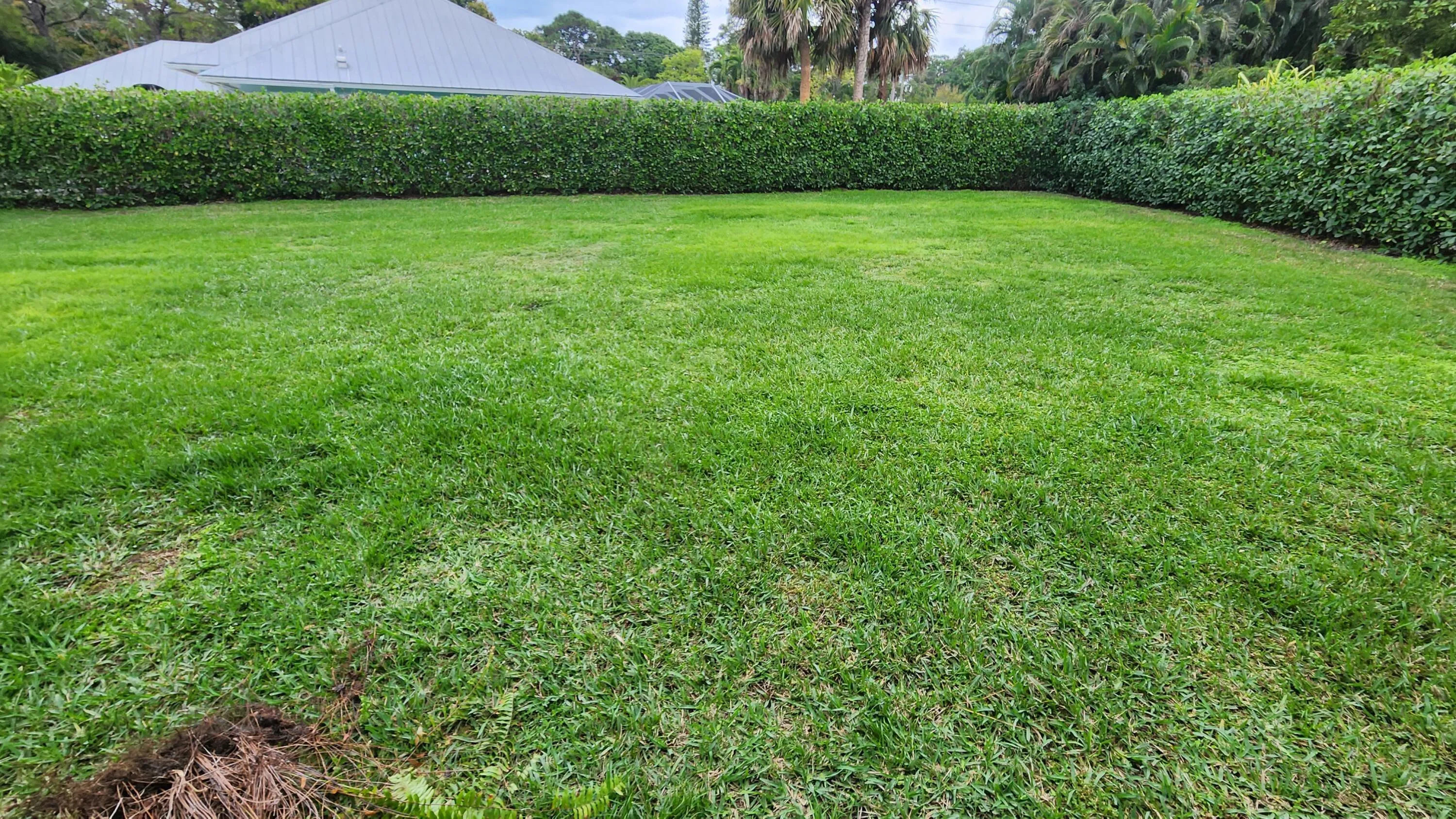 E Yard