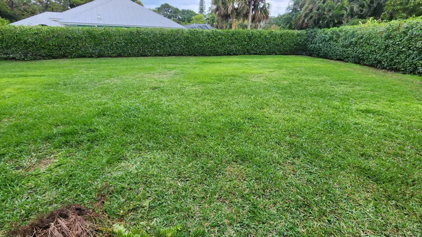 E Yard