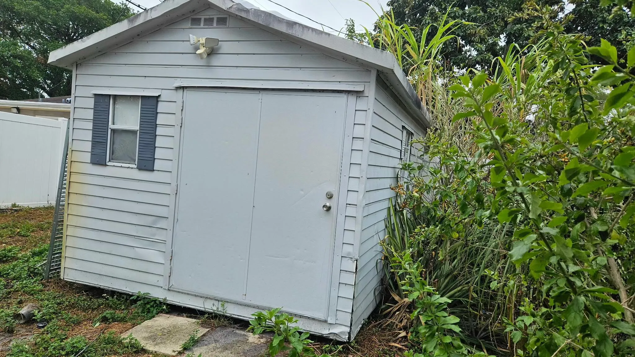 shed2