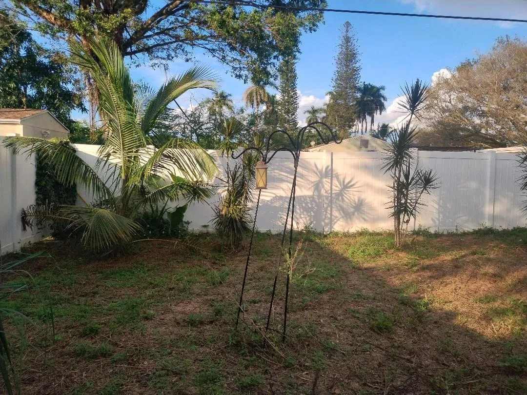 backyard