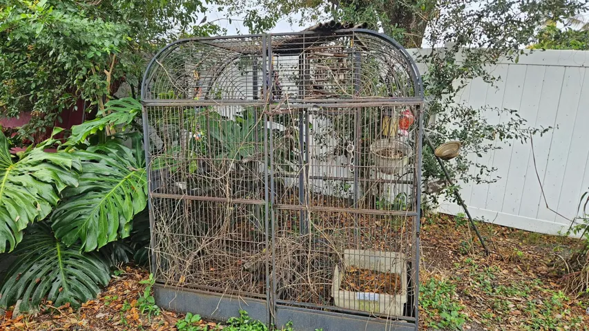 shed3