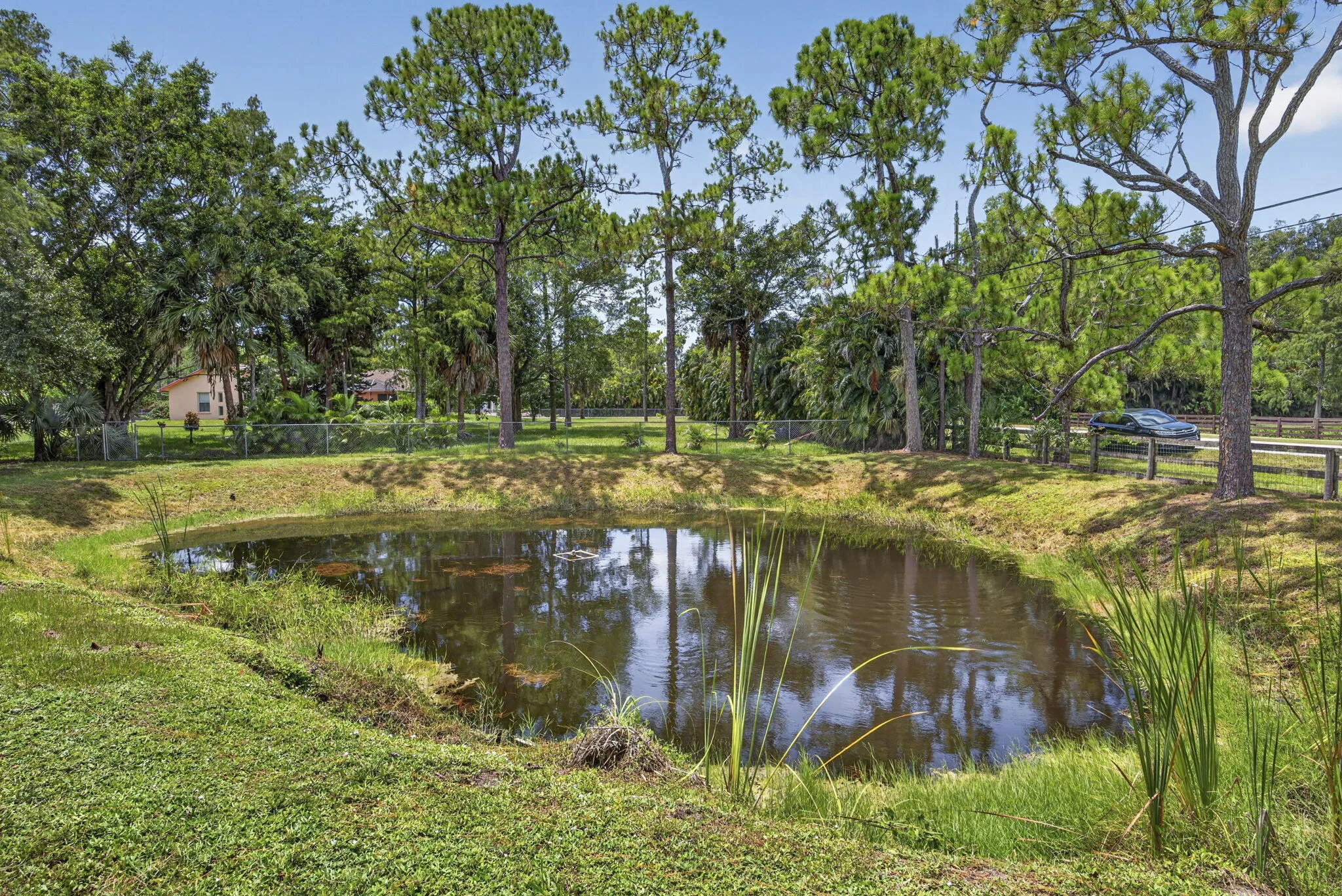 Pond