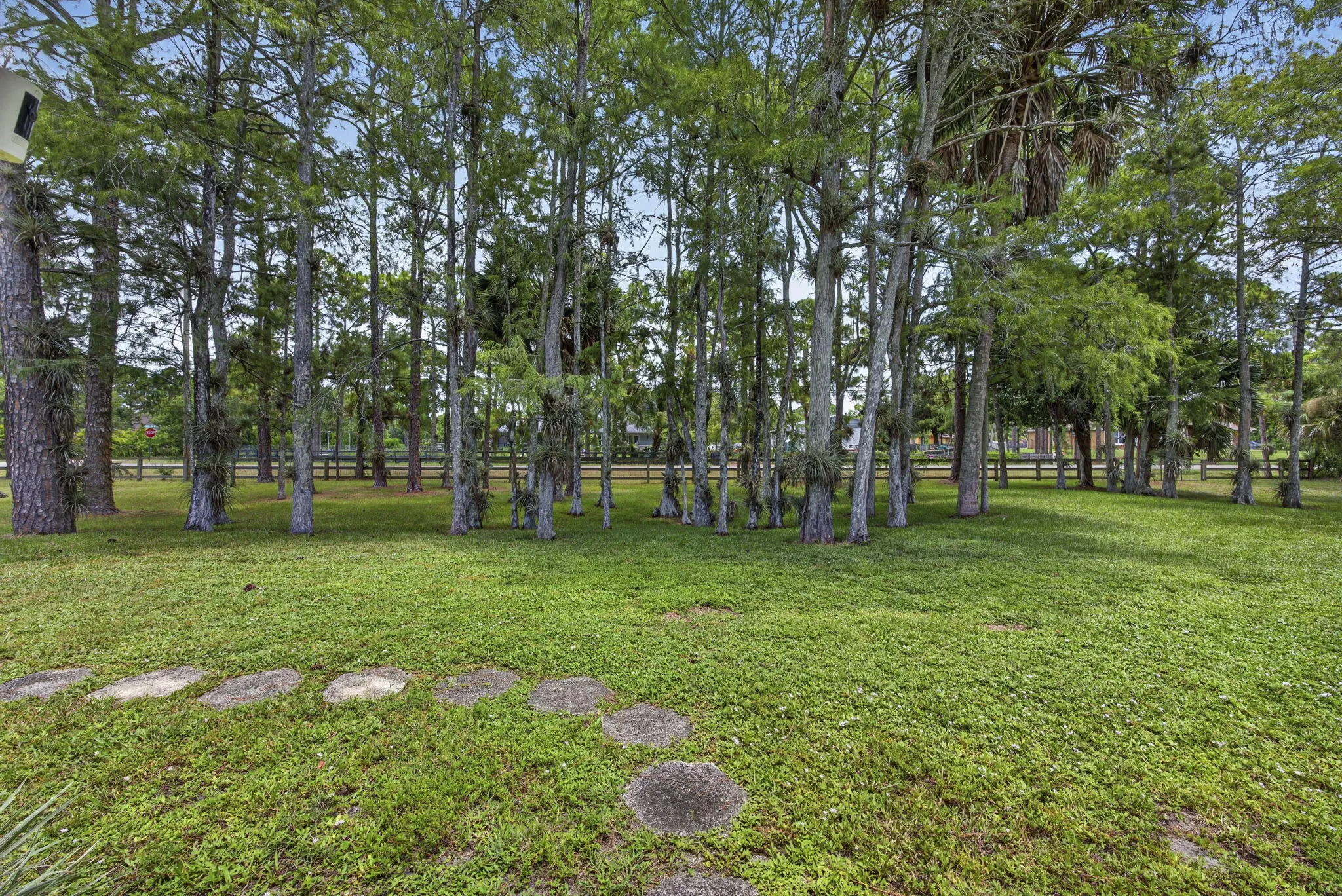 Front Yard