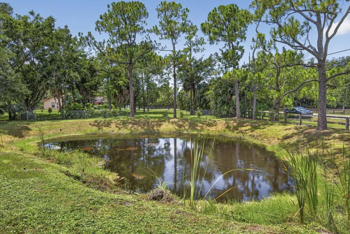 Pond