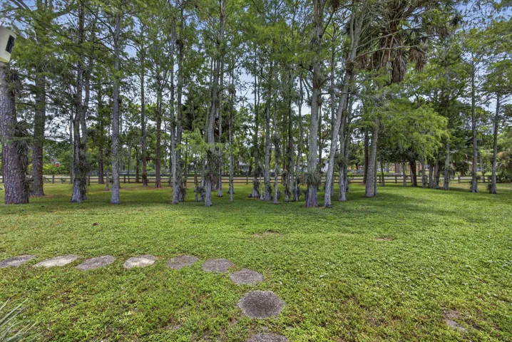 Front Yard