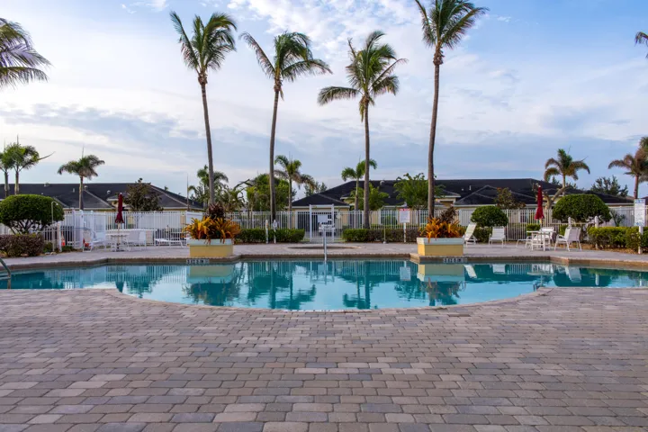 Expansive outdoor pool with a paver deck, surrounded by mature palm trees and lush landscaping
