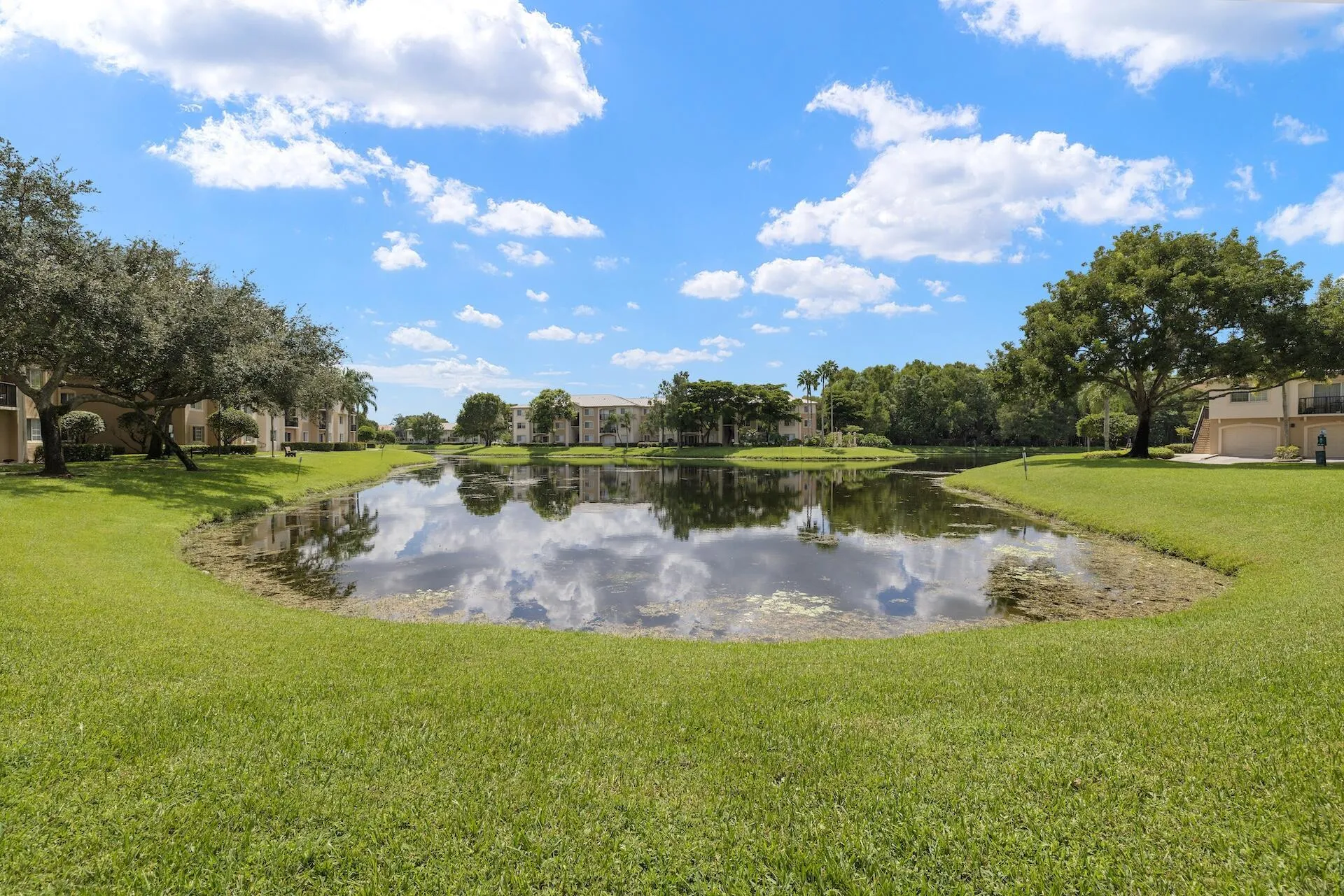 A grand backyard view