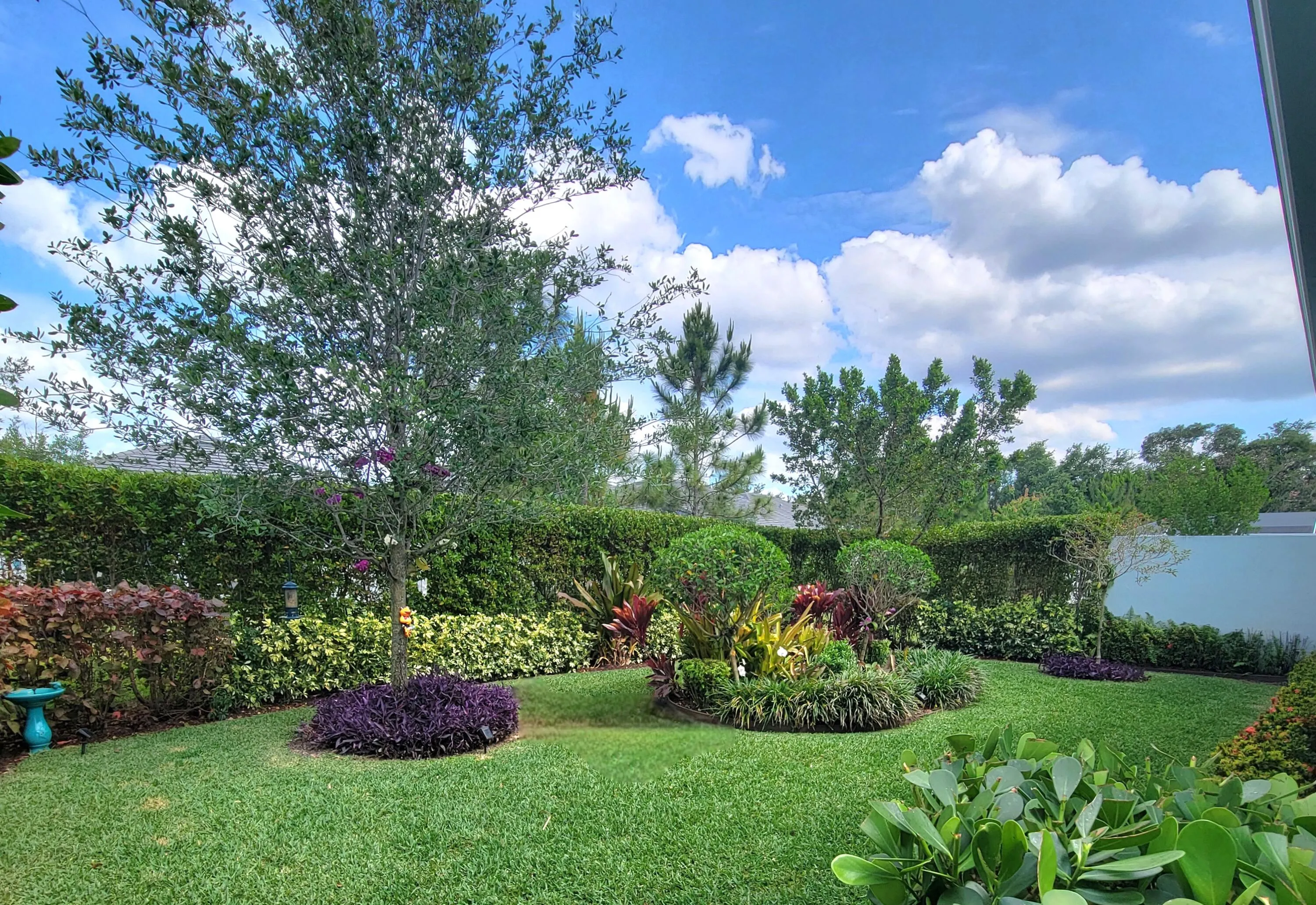 ALL NATURAL PRIVACY FENCE WITH LUSH GARDEN FLOWERING TREES & BLOOMING ORCHIDS
