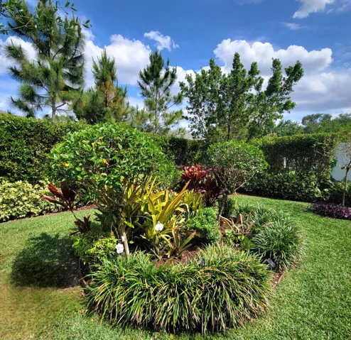 TROPICAL ISLAND LANDSCAPE
