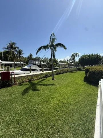 New higher dock & seawall