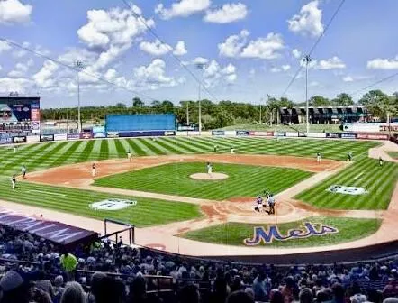 Mets Park