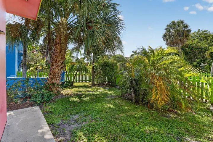 Front Yard