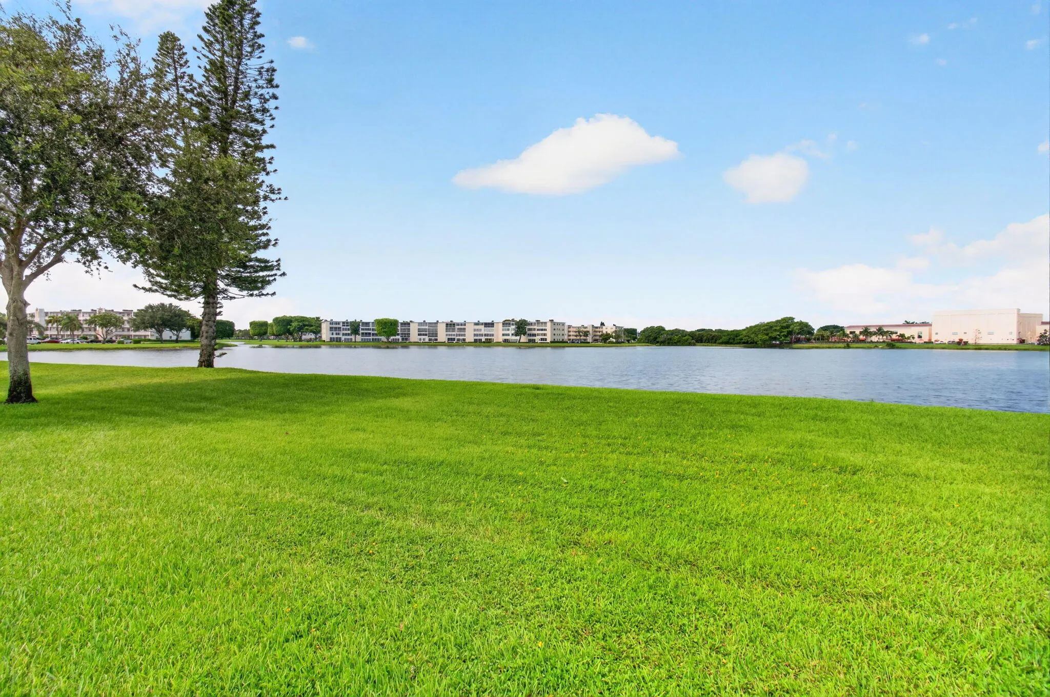 46-web-or-mls-DSC_4827