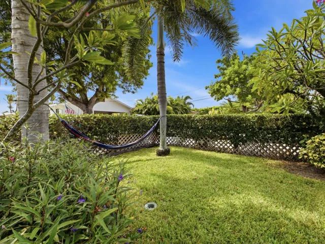 Garden Hammock
