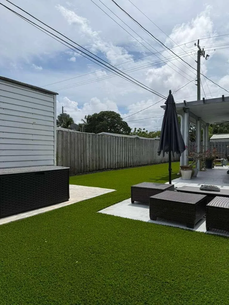 Backyard1