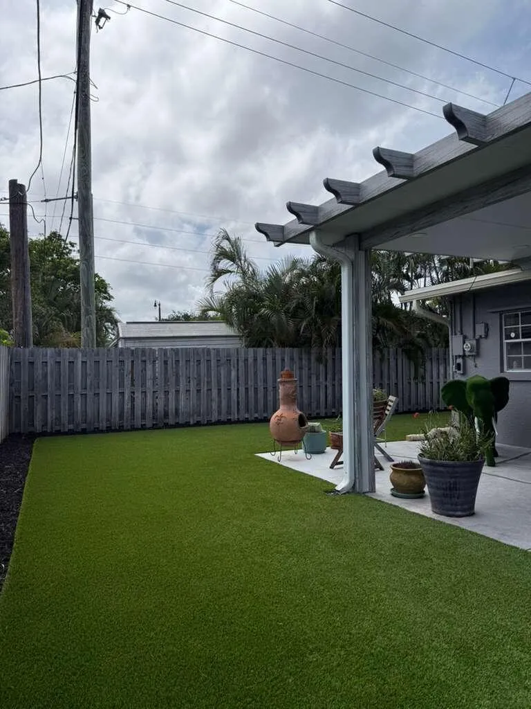 Backyard 3
