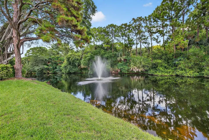 Fountain and park.