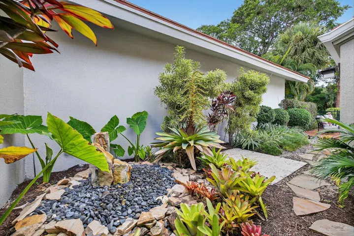 Fountain and tropical gardens.