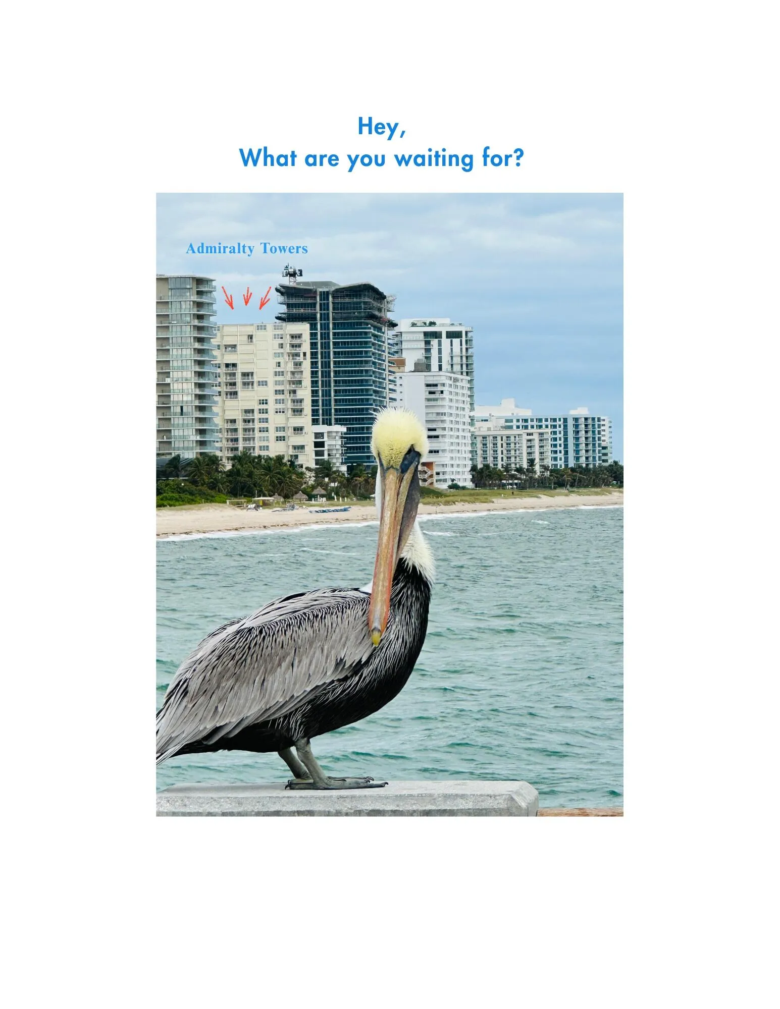 use Bird