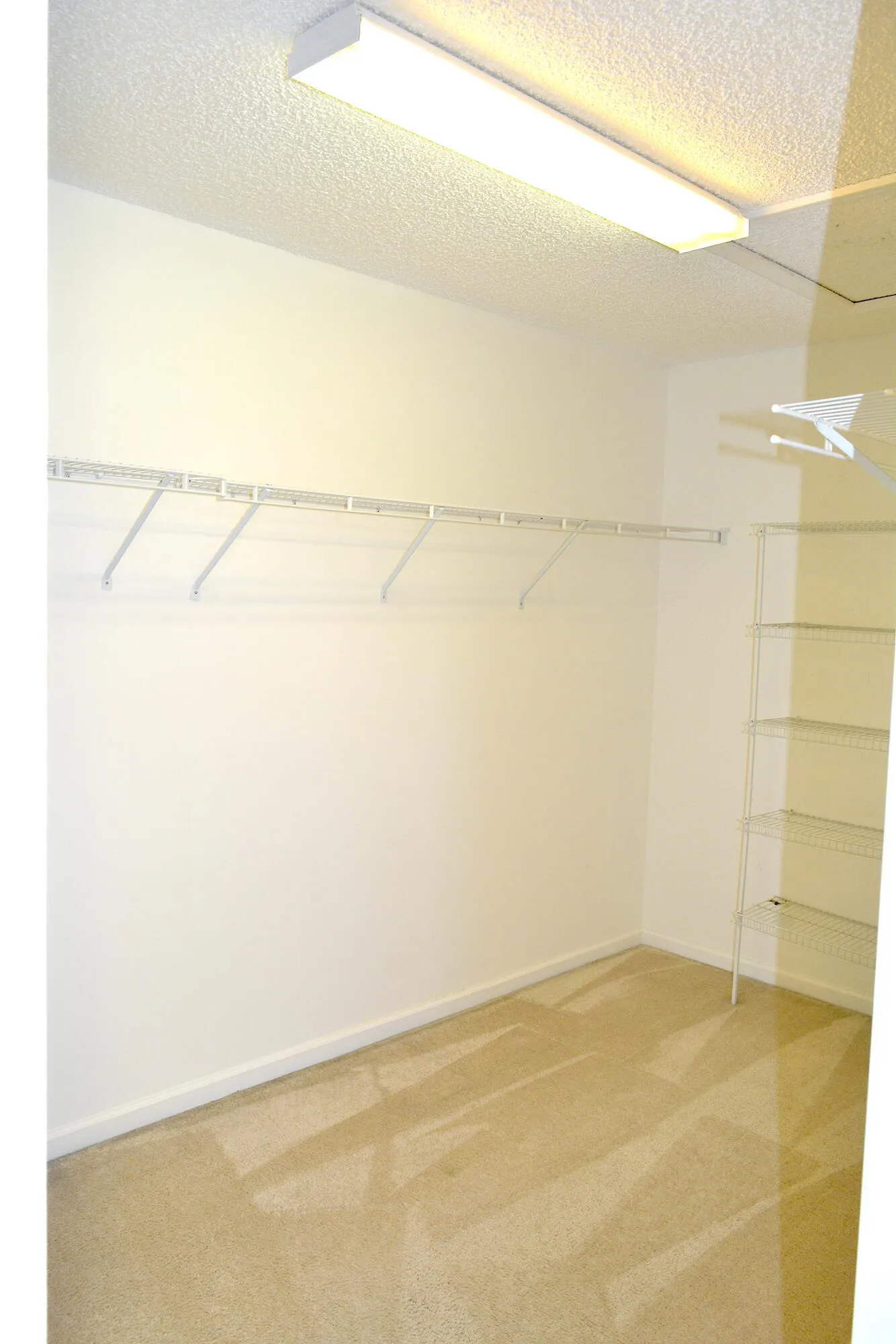 Mstr Closet