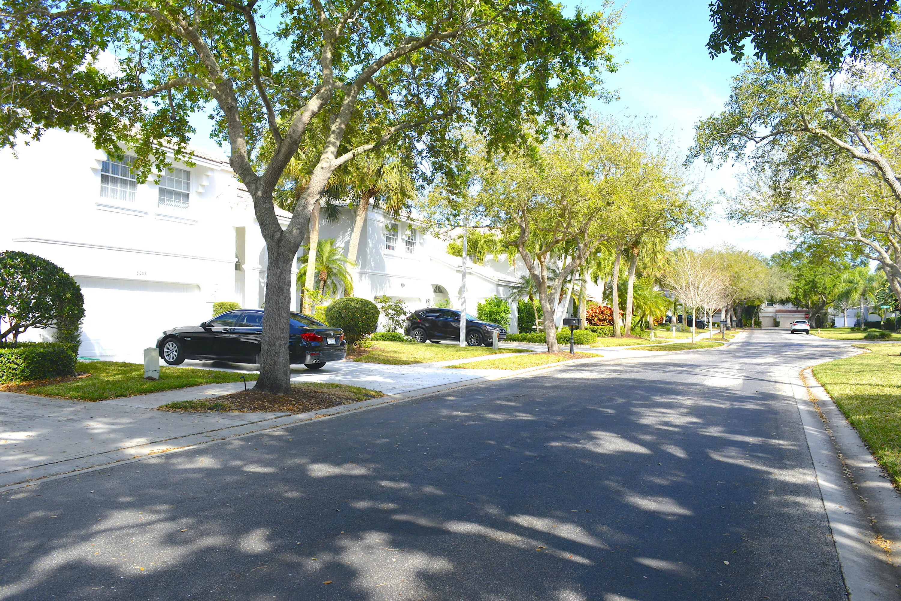 Street