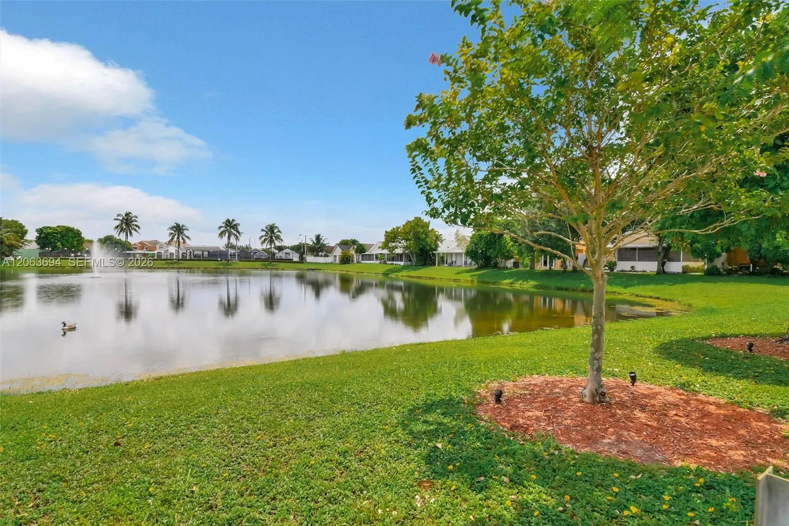 Community lake