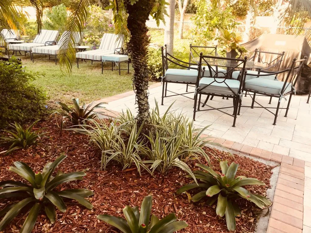 Backyard and patio