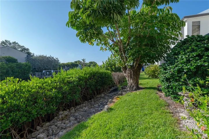 "Back yard"