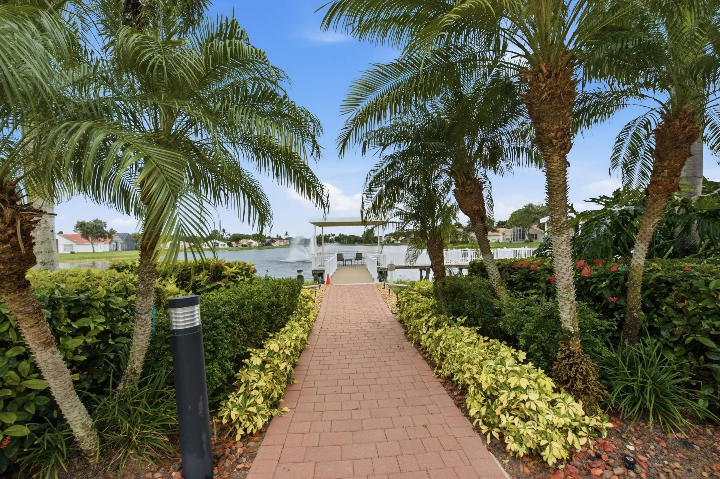 43__dsc2319