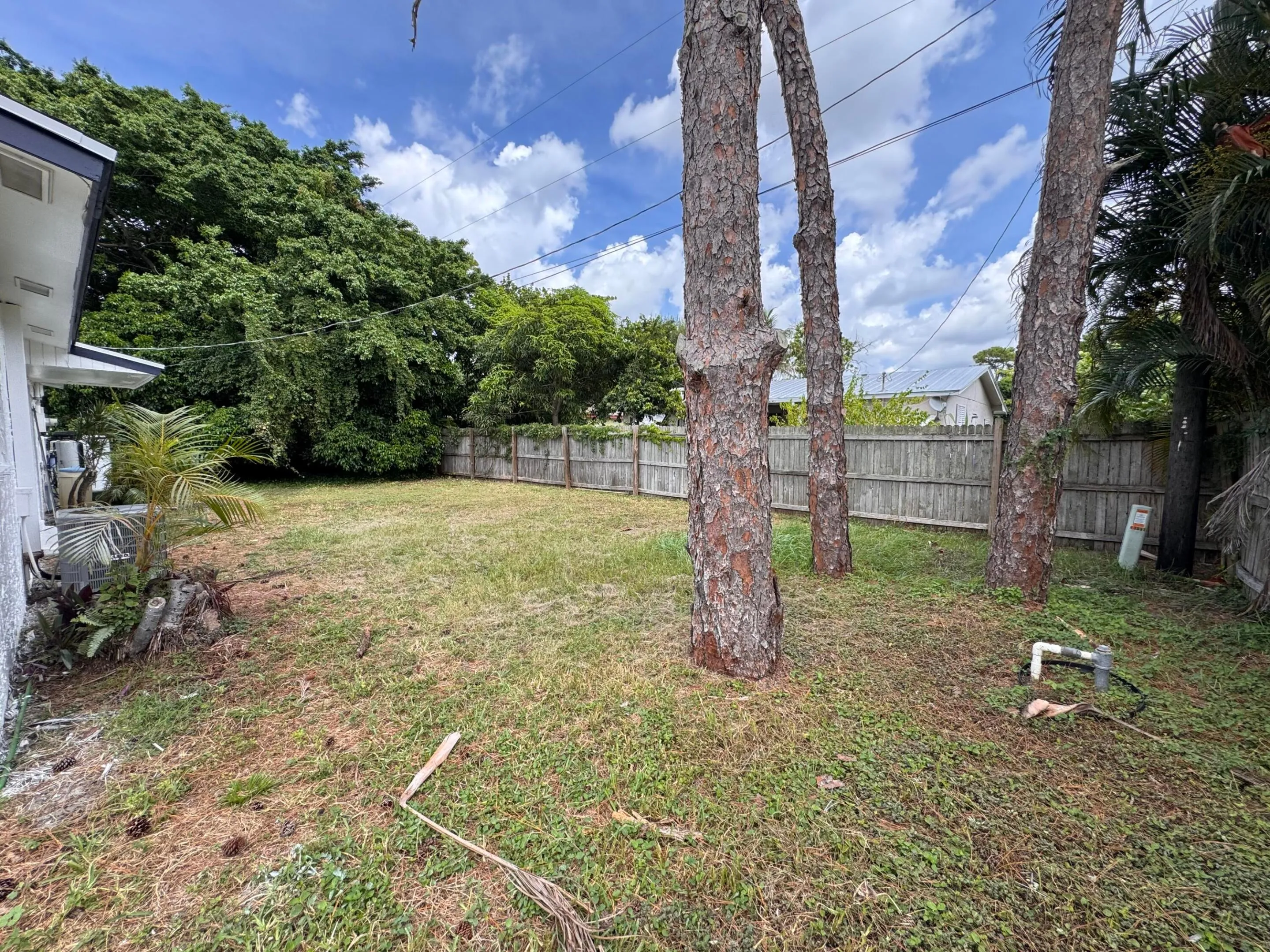 Yard