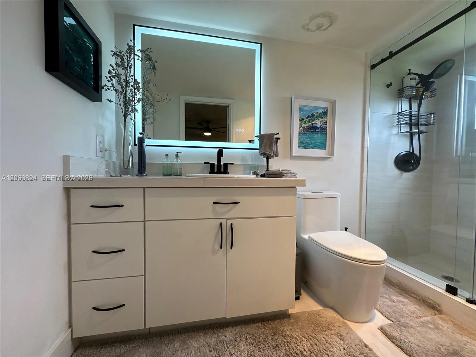 Property photo 65