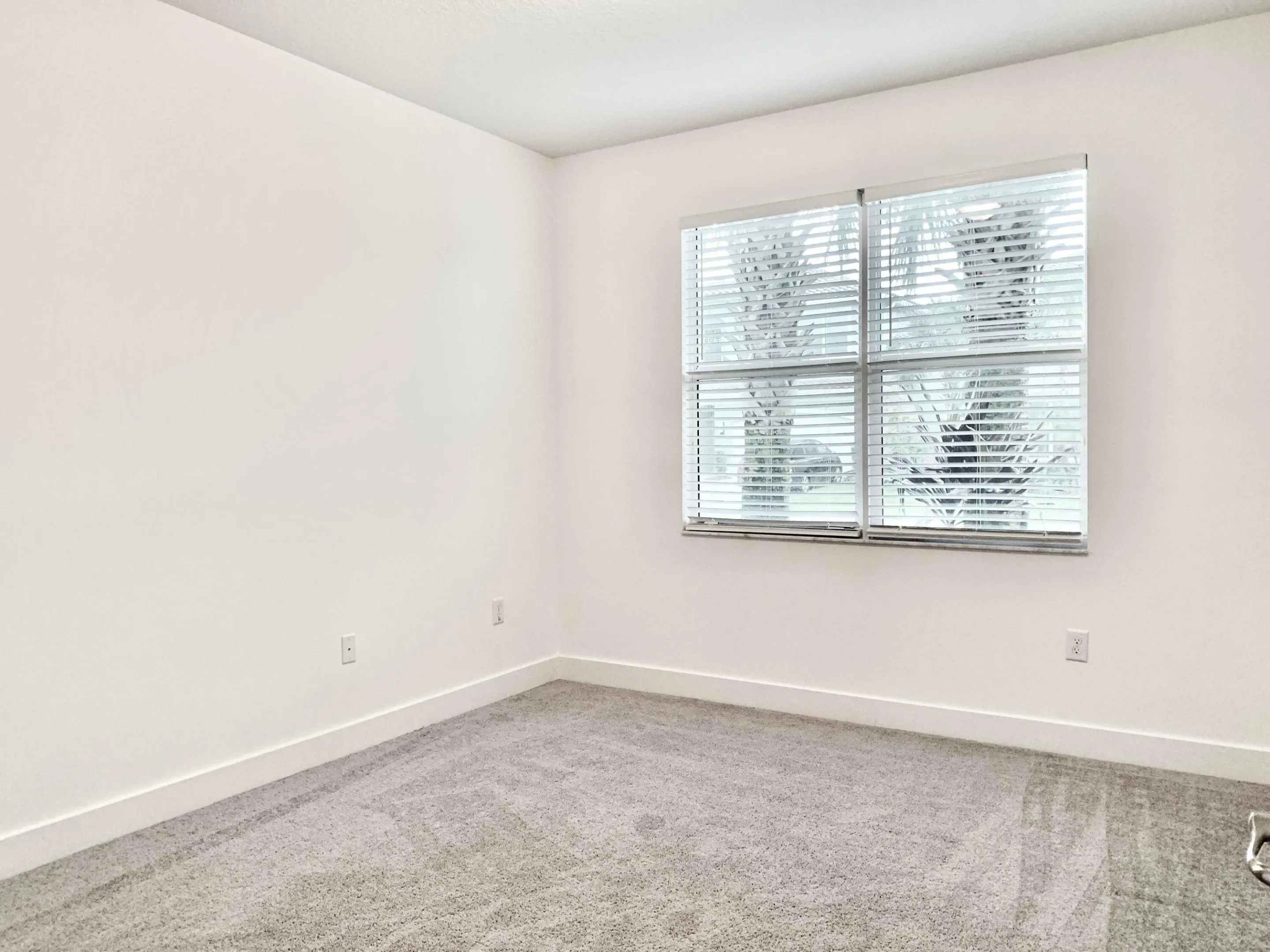 Property photo 54