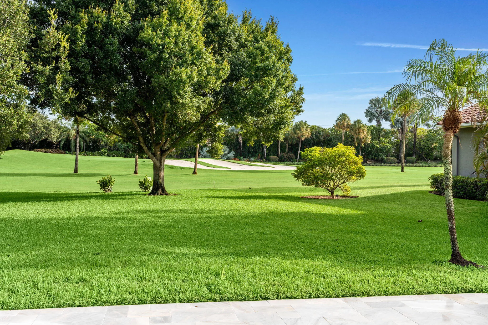 55-web-or-mls-A7403569