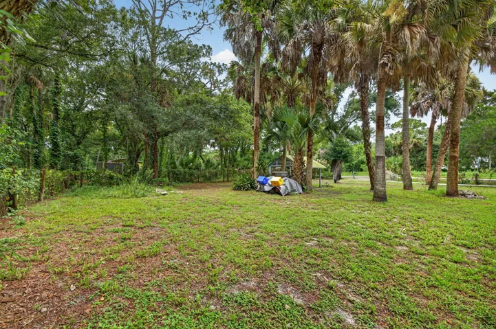 28-web-or-mls-3A5A8355