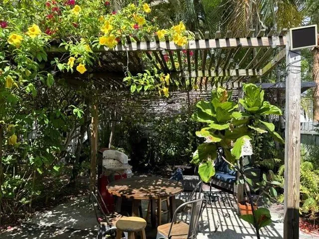 Adorable Backyard